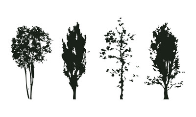 Hand drawn tree silhouette on white background