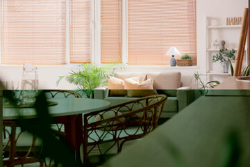 Interior of stylish open space kitchen with sofa, dining table and houseplants