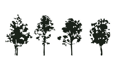 Obraz premium Hand drawn tree silhouette on white background