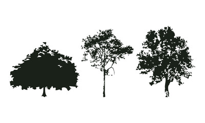 Fototapeta premium Hand drawn tree silhouette on white background