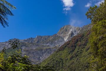 ニュージーランド　ウェスト・コーストにあるフォックス・グレイシャー・サウス・サイド・ウォークの景色