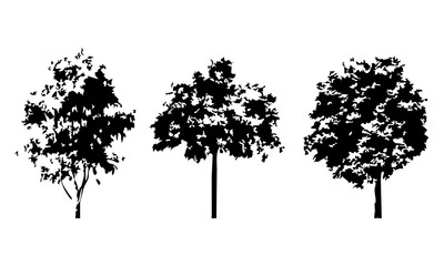 Hand drawn tree silhouette on white background
