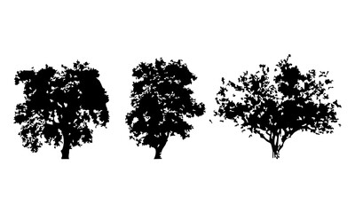 Hand drawn tree silhouette on white background