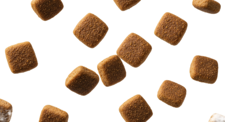 Premium Pet Food Kibble Delicious Nutritious Dry Dog Food