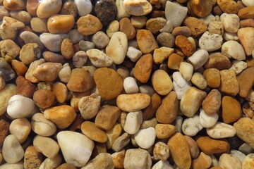Sea stones background under water