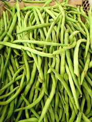 A Heap of Fresh Green Beans