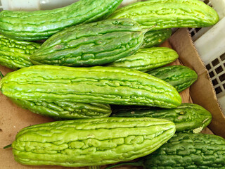 Fresh Bitter Melon for Sale at Market