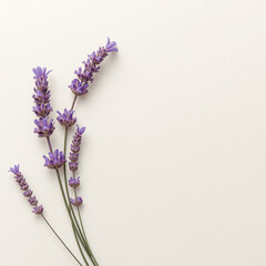 bunch of lavender