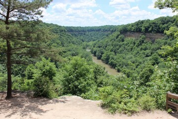 High vantage point of a valley with a river winding through lush green forests