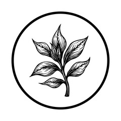 Elegant botanical illustration featuring a leafy plant inside a circle for logo design or decoration uses minimal style