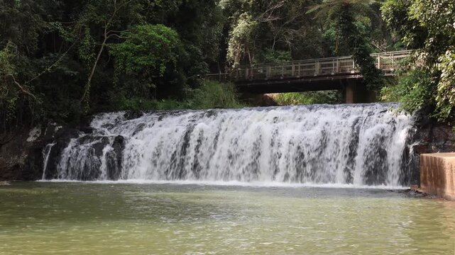 Malanda Falls waterfall surrounded by rainforest trees in Queensland, Australia