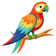 parrot on a white background