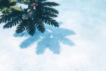 Obraz premium Dark fern leaves cast shadows on light blue surface