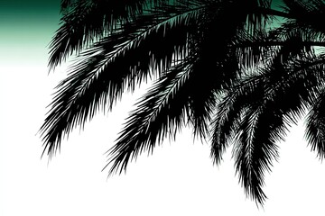 Silhouette of palm fronds against a teal-toned gradient
