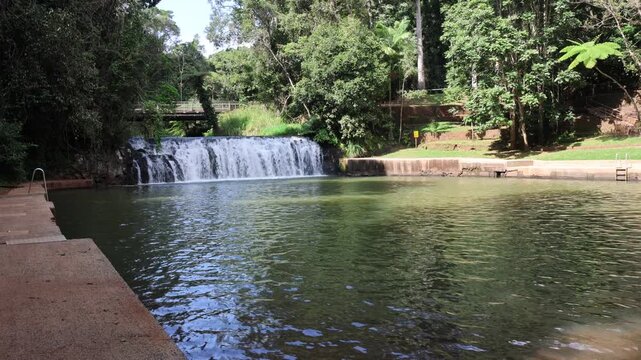 Wide view of Malanda Falls and pool surrounded by trees in Queensland, Australia