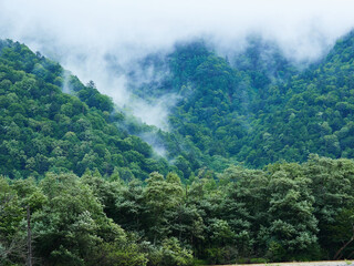 雨の日の上高地の穂高連峰と森の風景