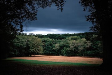 Dark forest canopy frames a light-toned meadow, ominous clouds overhead