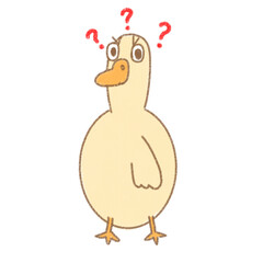 Confused duck