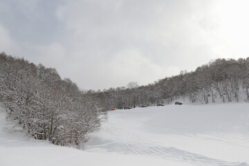 スキーのゲレンデ