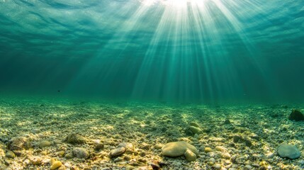 Underwater sunlight illuminating rocky seabed serene ocean scene