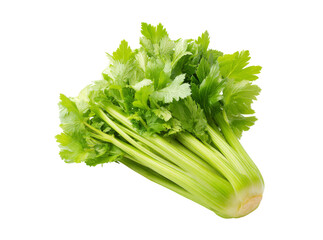 Fresh green celery stalks isolated on black background, Isolated On Transparent Background, Png, Cut Out