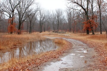 A muddy, leaf-strewn path winds through a wintery woodland, reflecting the overcast sky in puddles