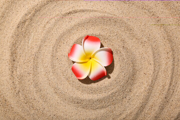 Obraz na płótnie Canvas Plumeria flower on sand, top view