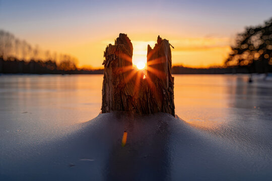 Sunburst through an old tree stump on a frozen lake at sunset, casting golden rays - Powered by Adobe