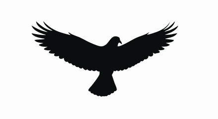 Fototapeta premium Bird silhouette in flight