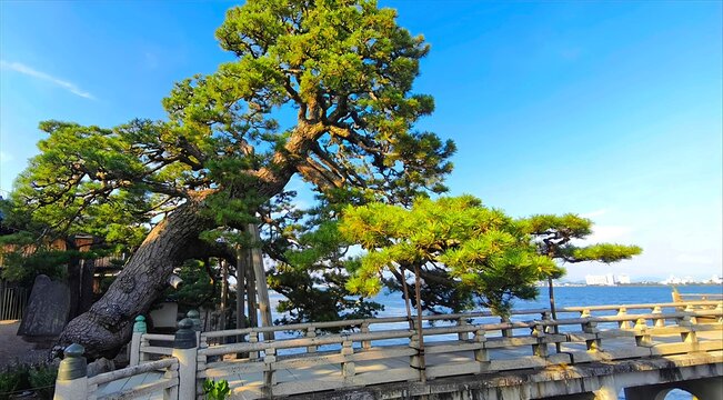 Kyoto