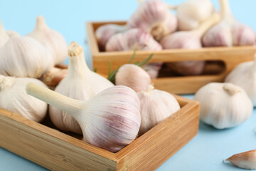 Wooden trays with fresh garlics on blue background