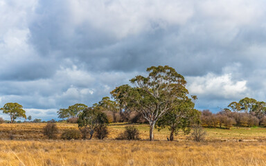 Rural landscapes in Winter with clouds and countryside