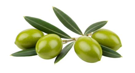 Fresh green olives with leaves, perfect for food, Mediterranean, and organic product designs. isolated on white or transparent background. PNG format.