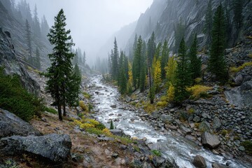 Fototapeta premium Misty mountain stream, autumn foliage, and rocky terrain