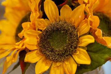 Beautiful Yellow Sunflowers Arranged for Decoration in a Bright Setting