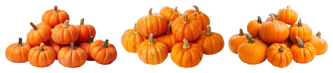 Obraz premium PNG Vibrant autumn pumpkins display, element set on transparent background