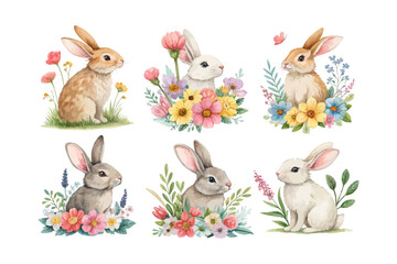 set of watercolor Bunny with flower vector illustration isolated on white background