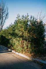 Everyday scenes in Seoul