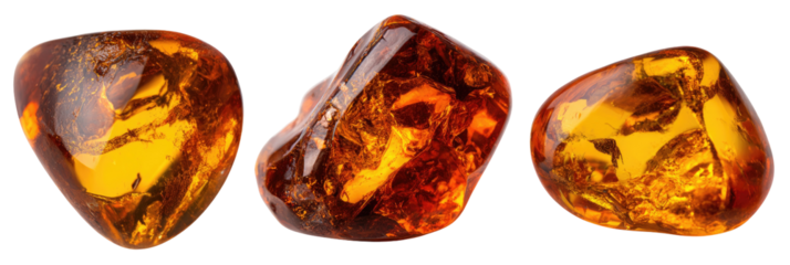 Three pieces of amber