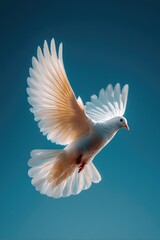 Obraz premium A white dove in flight against a vibrant blue sky.