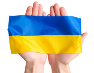  Ukraine Flag Draped Over Open Palms, Top View, Isolated