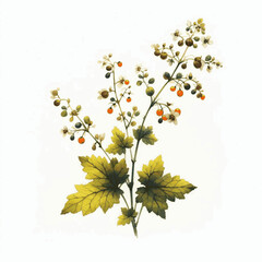 Thistle & Flow Bouquet of wild flowers isolated watercolor vector illustration svg