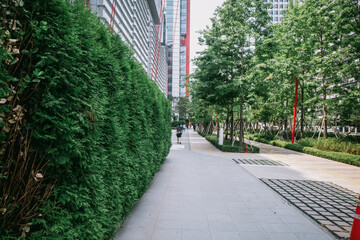 The Face of Seoul During the COVID Era