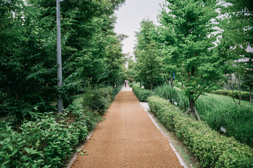 Naklejka premium The View of Seoul Park