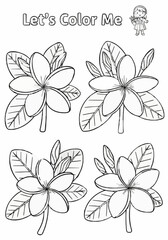 Obraz premium Coloring pages featuring attractive frangipani or plumeria flowers