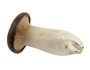 Fototapeta premium Discover the unique texture and natural form of a king oyster mushroom, perfect for culinary creations