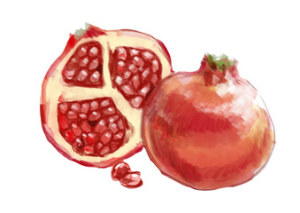 採れたてで美味しそうなザクロの手描き水彩イラスト(透過PNG)