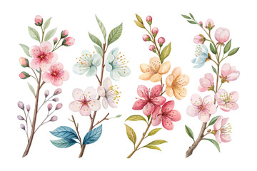 set of watercolor Blossom Branch vector illustration isolated on white background
