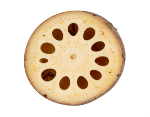 Unique cross-section of a lotus root reveals intricate natural pattern with distinctive holes