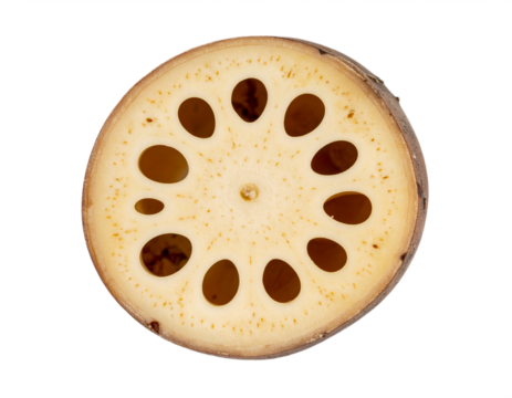 Unique cross-section of a lotus root reveals intricate natural pattern with distinctive holes